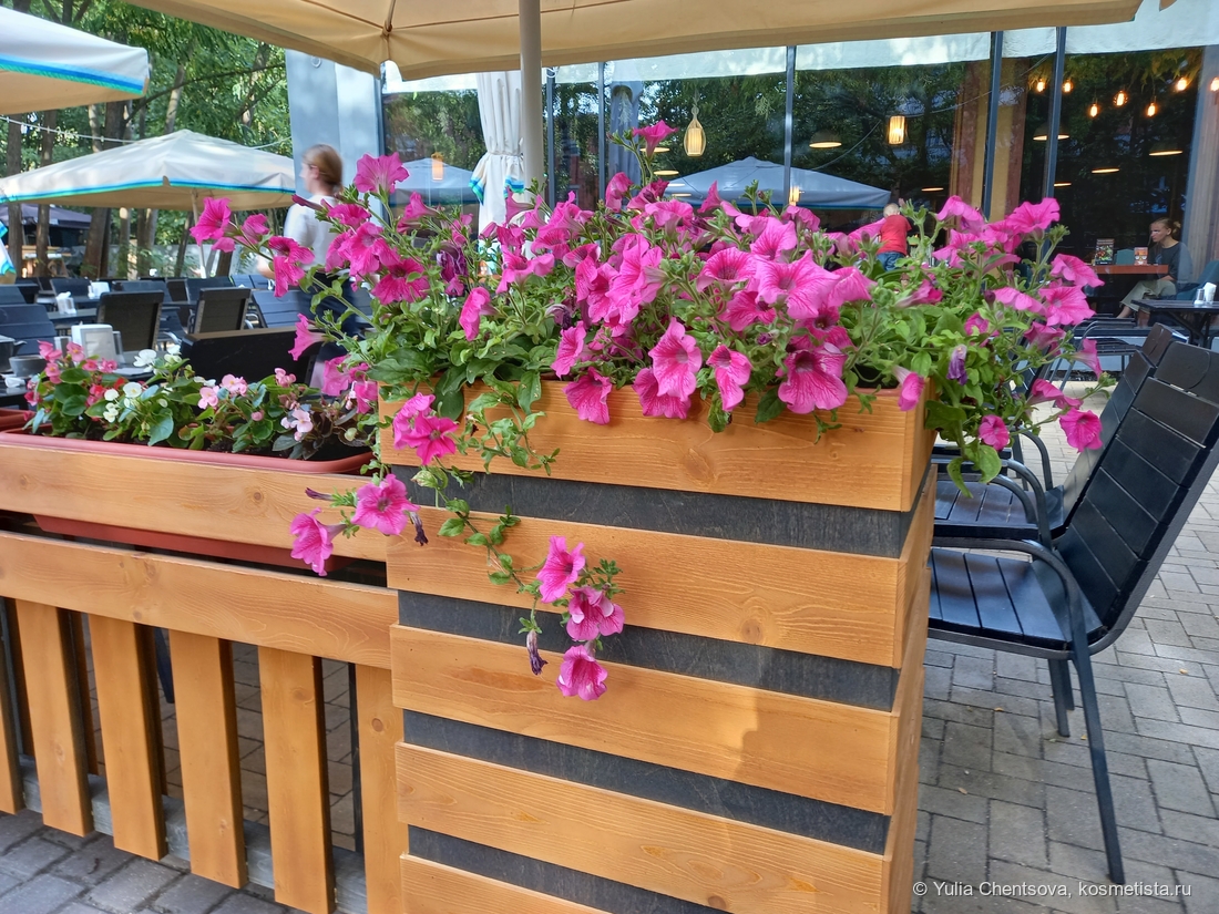 Цветы на летней террассе одного из кафе. Фото из личного архива автора поста.