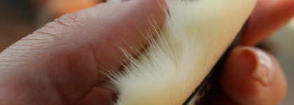 Идеальная вуаль на лето от Chanel Les Beiges Poudre Belle Mine Naturelle в оттенке Medium