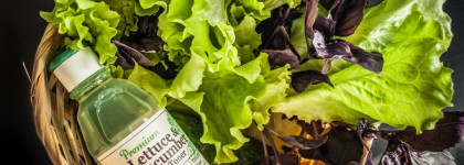 Дары от Skinfood: Увлажняющий тоник Lettuce & Cucumber на основе экстрактов салата и огурца + результаты от использования