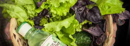 Дары от Skinfood: Увлажняющий тоник Lettuce & Cucumber на основе экстрактов салата и огурца + результаты от использования