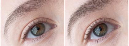Моя прелесть: тушь для бровей Volumizing Brow Tint # 01 от Estée Lauder. Пост от первого лица
