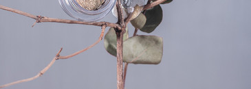 Тени Scattered Light от Hourglass в оттенке # Vivid