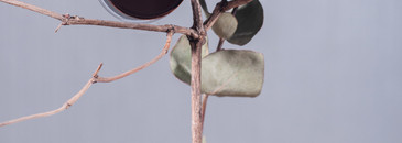 Тени Scattered Light от Hourglass в оттенке # Vivid