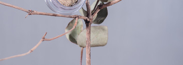 Тени Scattered Light от Hourglass в оттенке # Vivid