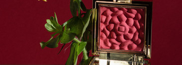 Когда красиво не только снаружи. Лимитированные румяна Pure Color Envy Creme Blush 01 от Estee Lauder в оттенке 01 Rebellious Rose