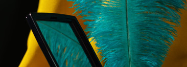 Неуловимая птичка от Dior. Новинка Dior Couture Colour Long-Wear Powder Blush (#468 Естественный)