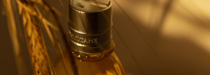 Увлажнение и питание кожи с увлажняющим Миндальным маслом для душа Almond Cleansing And Softening Shower Oil от L'occitane