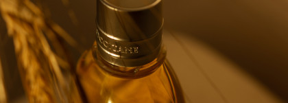 Увлажнение и питание кожи с увлажняющим Миндальным маслом для душа Almond Cleansing And Softening Shower Oil от L'occitane