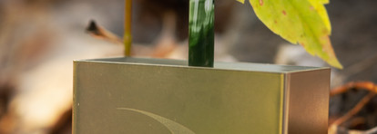 Снова про зелень и Стасю. Пигмент Matte Glaze by StasyAlex (MG 18 Moss)