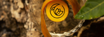 Манго в Mango Skin Vilhelm Parfumerie