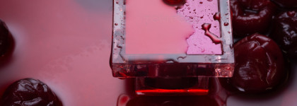 Потерянная Вишня в Вишнe. Tom Ford Lost Cherry