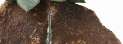 Succulent Garden by Cirque Colors Nail Lacquer