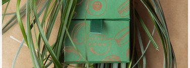 Весна. Зелень. Viseart (#petits fours pigment palette pistache)