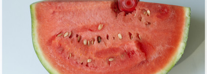 Арбузное лето. Chanel Le Vernis Spring Summer 2023 (#967 Watermelon)