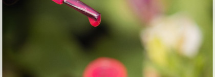 Лето в неоне с Sophin nail Polish. (#233, #230)