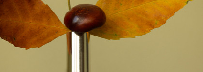 A-England #Fotheringhay Castle