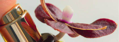 Tom Ford и его бархат_Velvet Orchid
