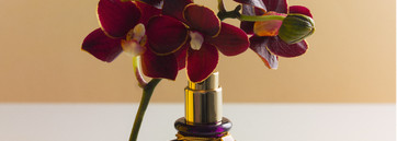 Tom Ford и его бархат_Velvet Orchid