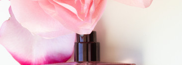 Роза без кофе. Cafe Rose by Tom Ford