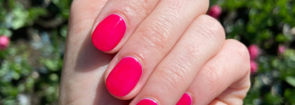 Летние итоги 2024