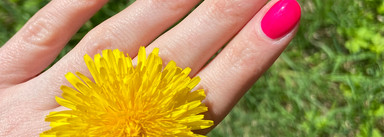 Летние итоги 2024