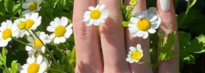 Осенние лаковые итоги 2024