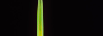 Голографик от Beauty Bomb UFO Eye Pencil Holographic Conspiracy (#01 Hush hush)