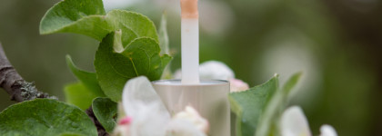 Shik glossy lip oil_# 09 Make a Wish