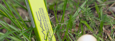 Трава не везде зеленая. MAC squirt plumping gloss stick #15 Like squirt / Essence Juicy bomb glossy butter balm #04 Kiwi to my Heart