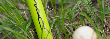 Трава не везде зеленая. MAC squirt plumping gloss stick #15 Like squirt / Essence Juicy bomb glossy butter balm #04 Kiwi to my Heart