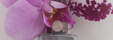 Прекрасный и лучший нюд. Mooncat nail lacquer #Petals for a narcissist