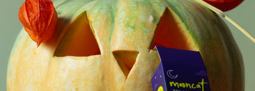 Helloween c Mooncat_#Poems for a Harvest moon