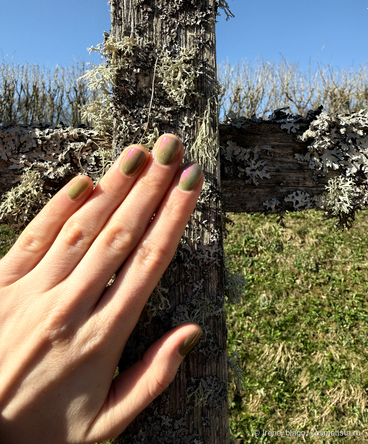 2 слоя без топа