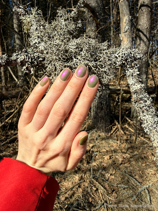 2 слоя без топа