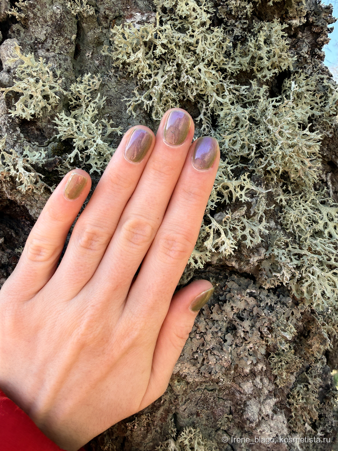 2 слоя без топа