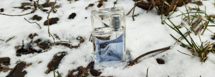 Свежие ароматы, ноты моря и эльфийских цветов. Дешево, но отнюдь не сердито