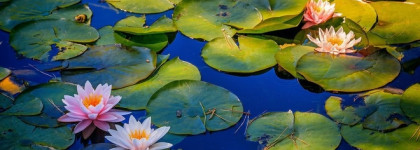 Ароматы лета: мой ТОП-3 ассоциаций со свежестью