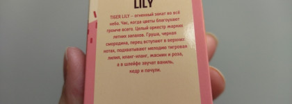 Ароматы осени: ну-ка, фрукты, встаньте в ряд