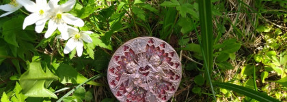 Мое китайское сокровище: Flower Knows Little Angel Collection Embossed Highlighter (03)