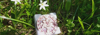 Мое китайское сокровище: Flower Knows Little Angel Collection Embossed Highlighter (03)