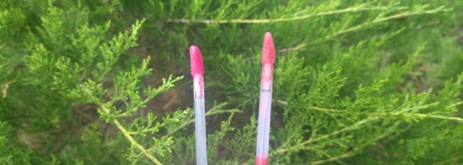 Мини-коллекция Rom&nd Juicy Lasting Tint