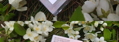 Хайлайтеры Clio Prism Highlighter в оттенках 03 и 05 - беру все