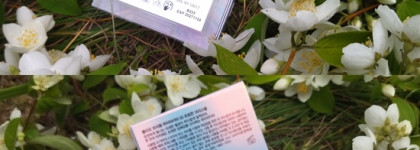 Хайлайтеры Clio Prism Highlighter в оттенках 03 и 05 - беру все