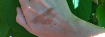 Бронзер Baby Got Bronze(10) от Essence - новый любимчик в стике