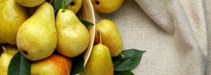 Новинка на парфюмерной полке - свежий Iris (EDP) от Molinard