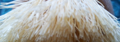 Сухой массаж и моё главное разочарование года - массажная щётка Riche