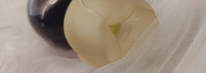 Мои якоря прошлого