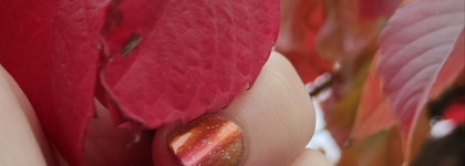 Все краски осени в одном флаконе. DanceLegend Galaxy Big Bang 845