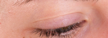 It's probably blood poisoning. Джим Джармуш, любовники и Tammy Tanuka (+ видео)