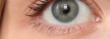 Любимые бюджетные туши: Maybelline Lash Sensational, Гурмандиз, Vivienne sabo Cabare Premiere, 04